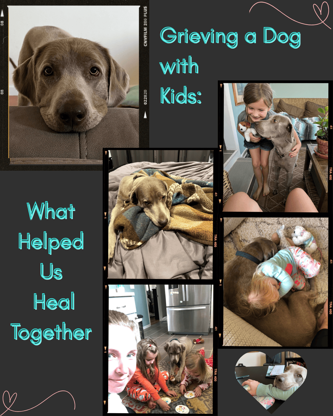 Grieving a Dog with Kids: What Helped Us Heal Together